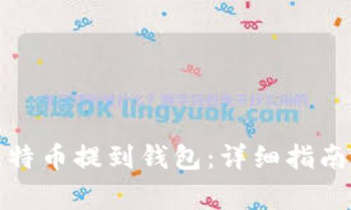 如何安全地将比特币提到钱包：详细指南与常见问题解答