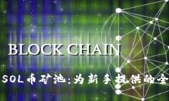 全面解析SOL币矿池：为新
