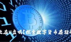 比特币钱包可以放在U盘吗