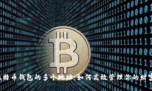 比特币钱包的多个地址：如何高效管理你的财富？