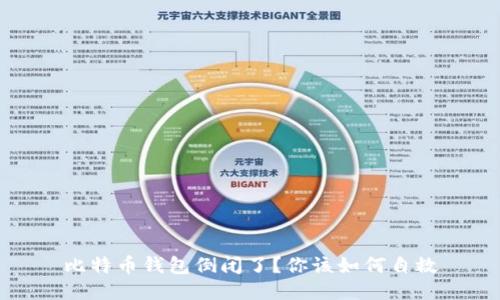 比特币钱包倒闭了？你该如何自救