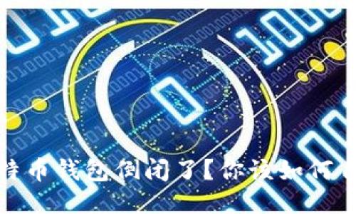 比特币钱包倒闭了？你该如何自救