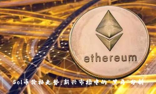 Sol币价格走势：新兴市场中的“黑马”分析