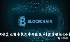 如何恢复比特币钱包中的遗失币？深度解析
