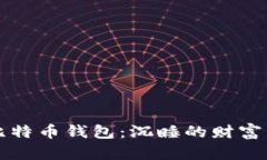 十年未动的比特币钱包：沉睡的财富与未来的可