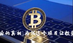 SOL币暴涨背后的真相：为